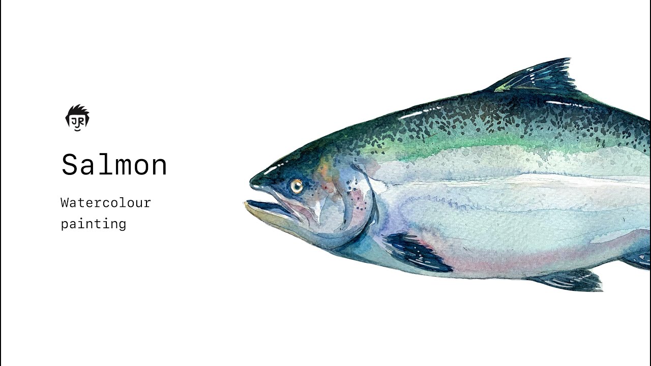 JAMES ROTANSON - Learn How to Watercolour Tutorial - Salmon