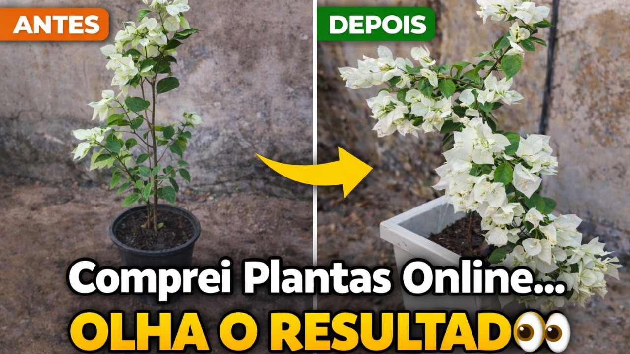 Comprei Flores Baratas na Internet… Olha Meu Quintal Agora!