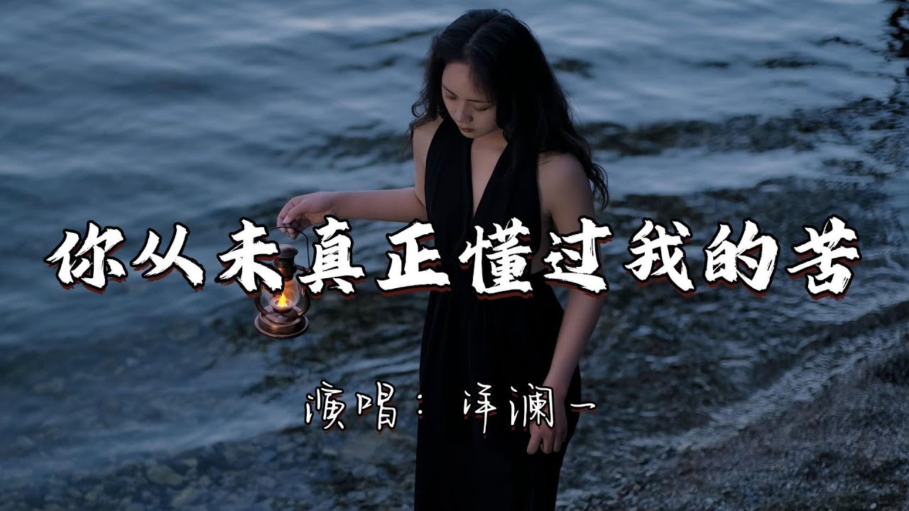 洋澜一 - 你从未真正懂过我的苦『你从未真真正正懂过我的苦，就像白天它不懂黑夜的孤独。』『动态歌词MV』