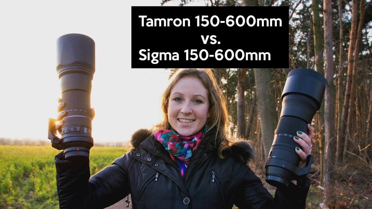 Tamron 150-600mm VS. Sigma 150-600mm | Superteleobjektive im Praxistest