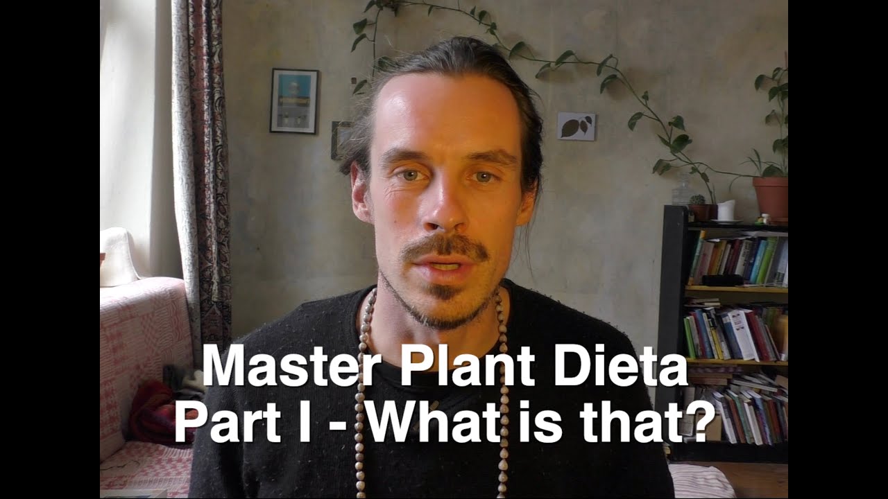 Master Plant Dieta with Renaquilla (and Ayahuasca) Part 1: What is that?