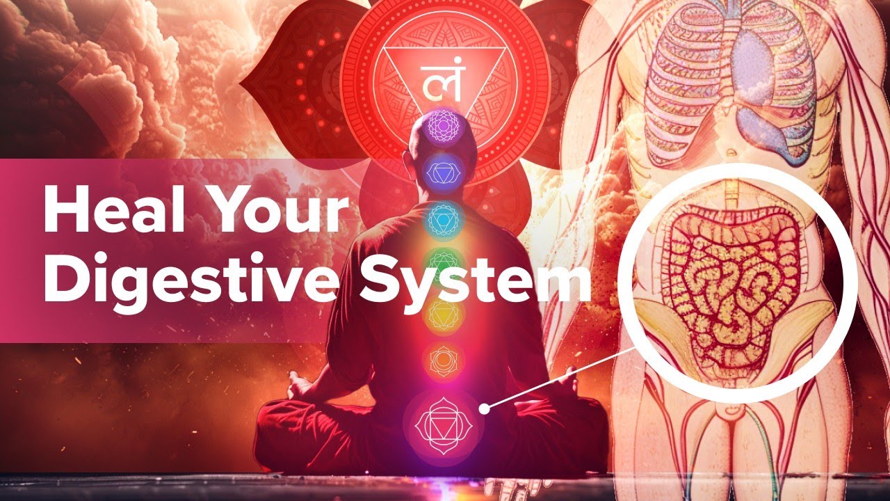 The Most Powerful Music for Digestive Wellness | Healing Lam Frequency for Gut Health