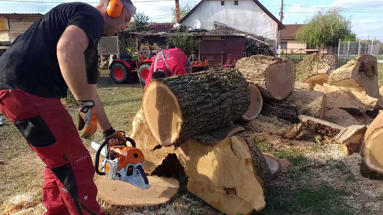 Chainsaw racing stihl ms 661 c-m vs ms 500i
