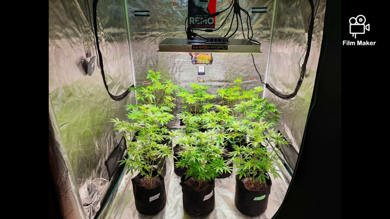 MARS HYDRO 5X5 GROW TENT, TS3000, 6