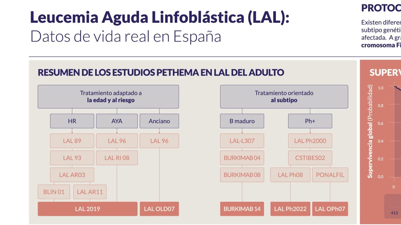 Infografía 