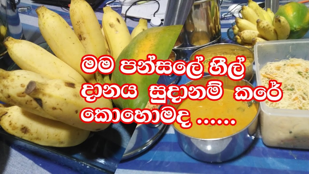 මම  ඉක්මනින් හීල් දානය හදා ගත්තෙ කොහොමද  🙏🙏🙏🙏