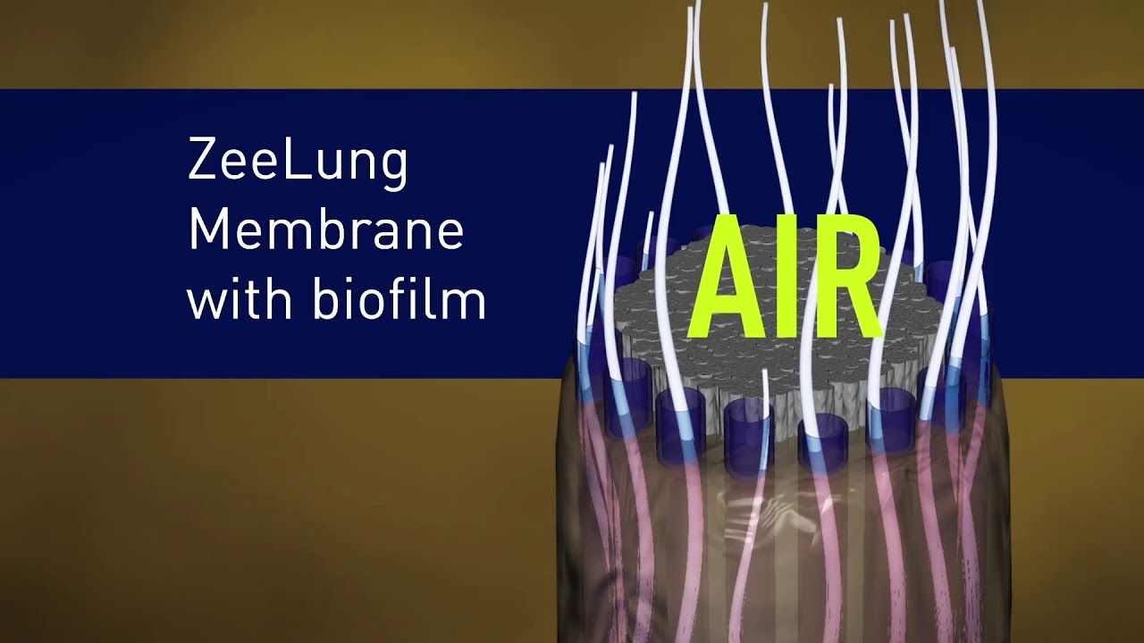 Suez - ZeeLung Membrane Technology
