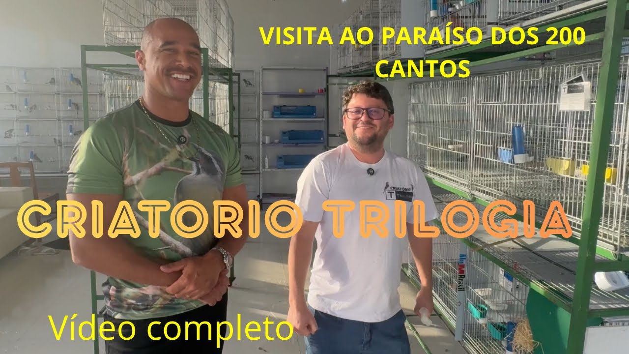 CRIATORIO TRILOGIA O PARAÍSO DOS 200 CANTOS: COLEÇÃO DE GALADOR CAMPEÃO 