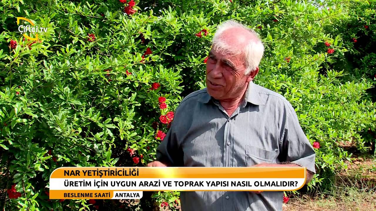BESLENME SAATİ - NAR YETİŞTİRİCİLİĞİ