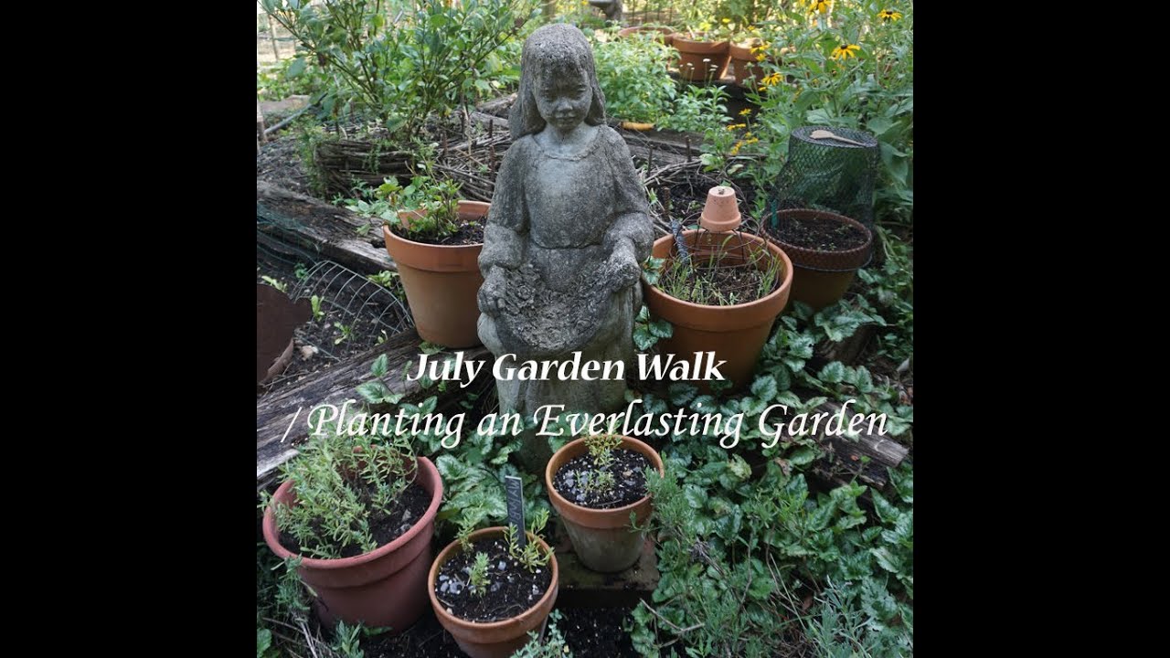 July Cottage Garden Walk/ Planting an Everlasting Garden