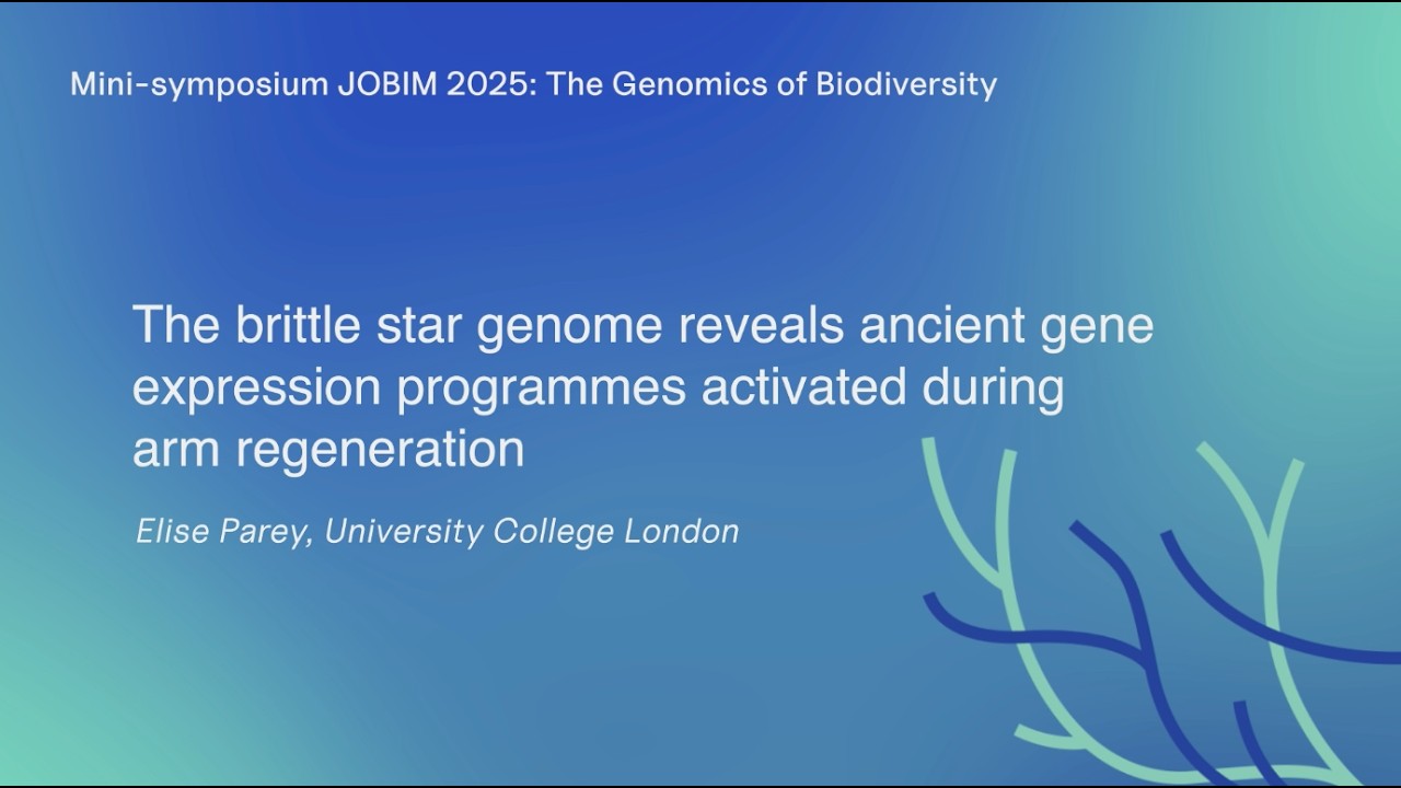 The brittle star genome reveals ancient gene expression programmes activated during arm regeneration
