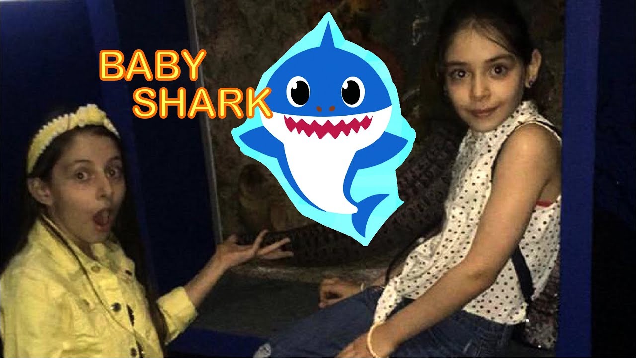 رحلتنا الى فقيه اكواريوم - غنينا بيبي شارك  !!