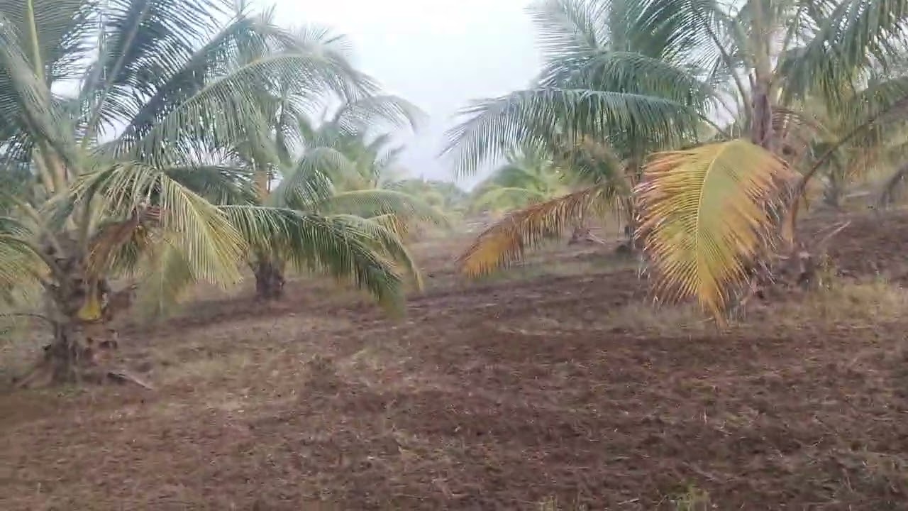 Land for sale 17acras 1acra cost 30lakhs for sale this land for sale this number 6281840097 call 