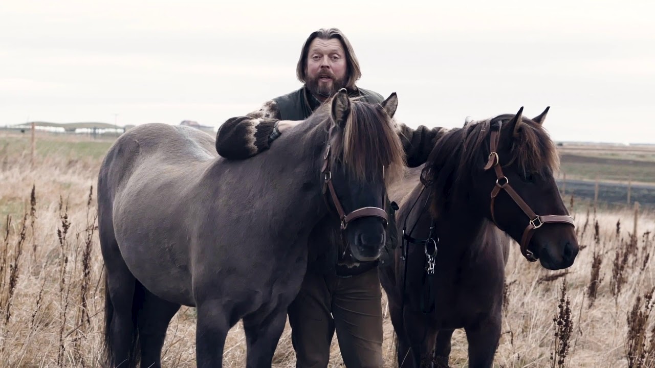 Horseback riding in Iceland - Join us horseback riding on the South Coast of Iceland by Mr Iceland