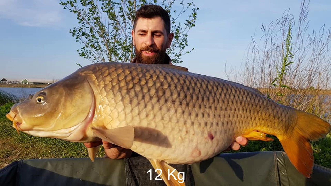 Sesión de pesca ALFAROFIA 2019