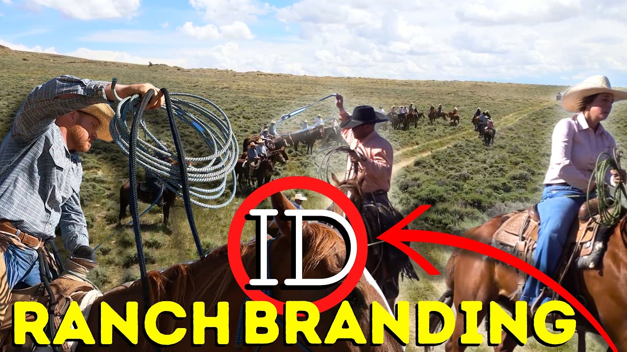 Брендинг на ранчо ID