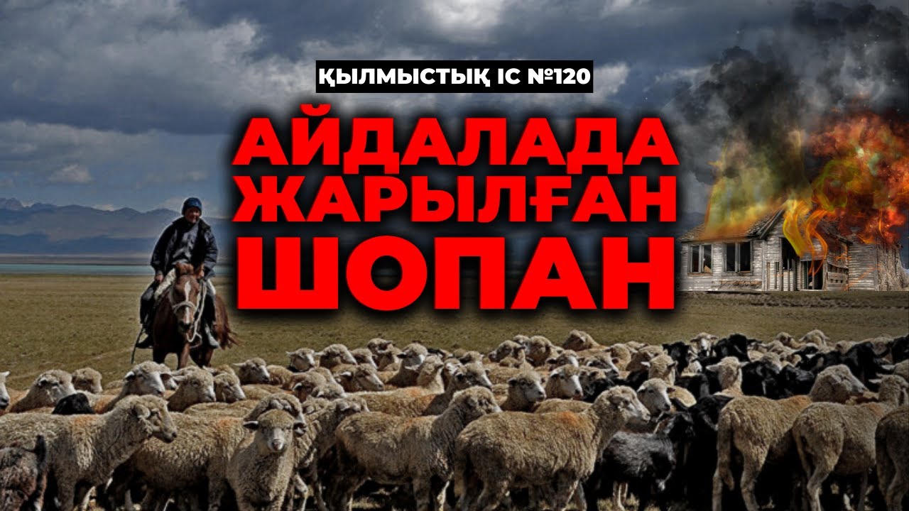 АЙДАЛАДА ЖАРЫЛҒАН ШОПАН | АЛМАТЫ ОБЛЫСЫ | №120