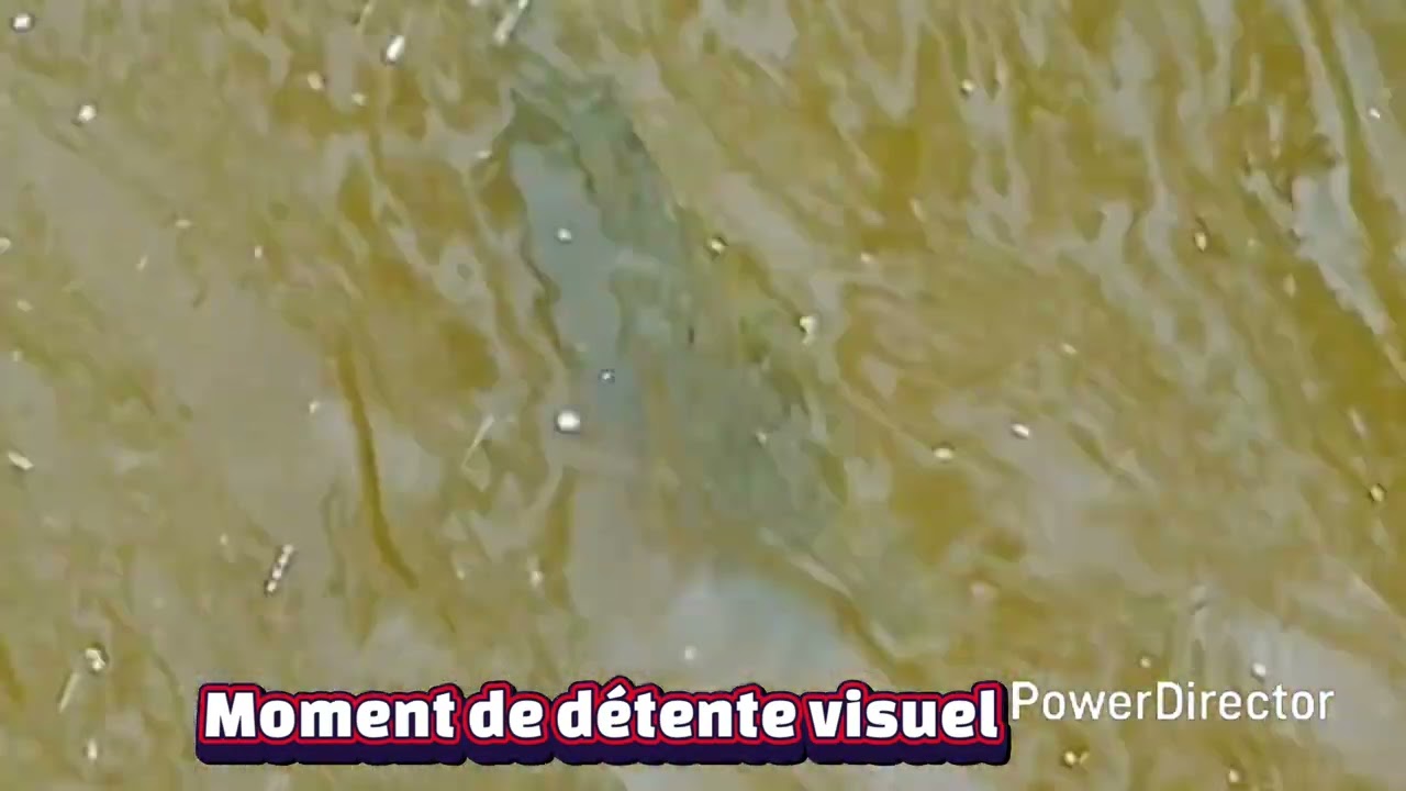 DUEL EN PLEINE EAU N°20 DOUBLE IMPACT A LA RECHERCHE DU GRAND BLANC 3 FULL HD