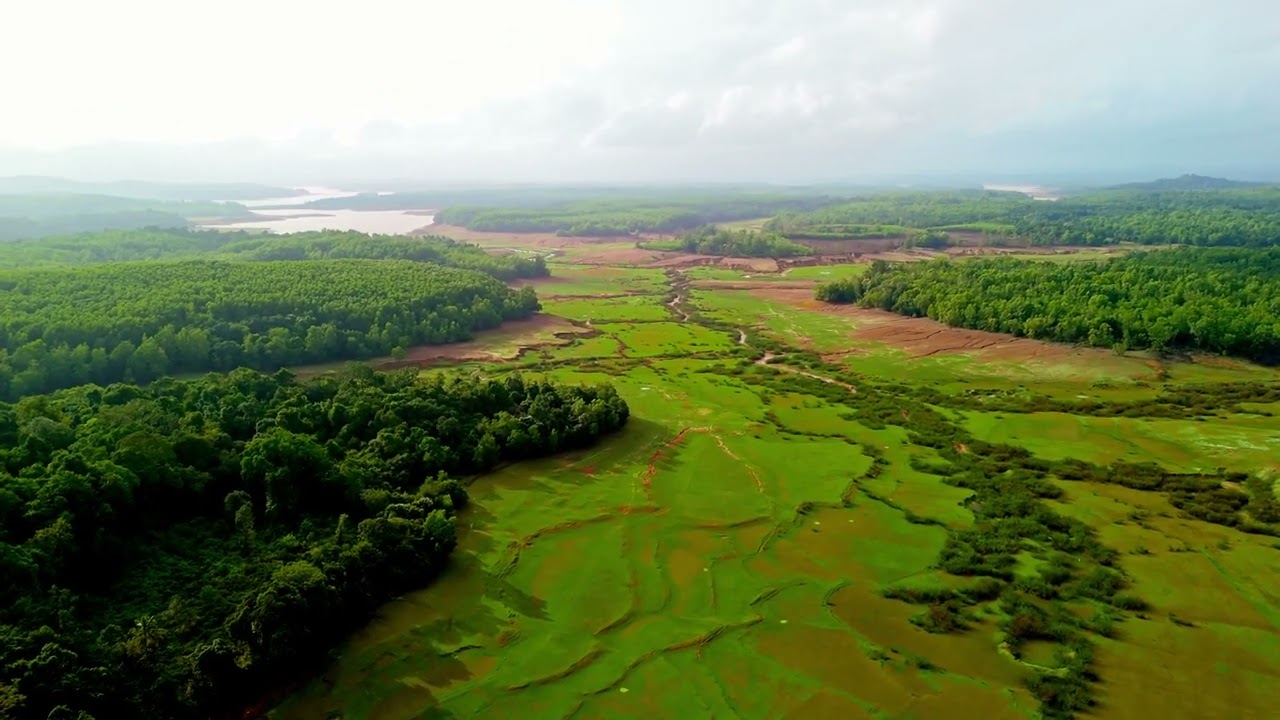 Backwaters and fields of Sharavathi River