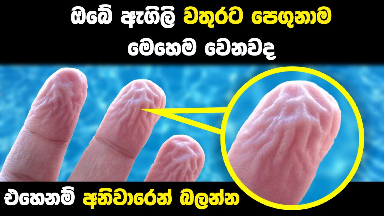 16 Facts You Never Knew You Wanted to Know