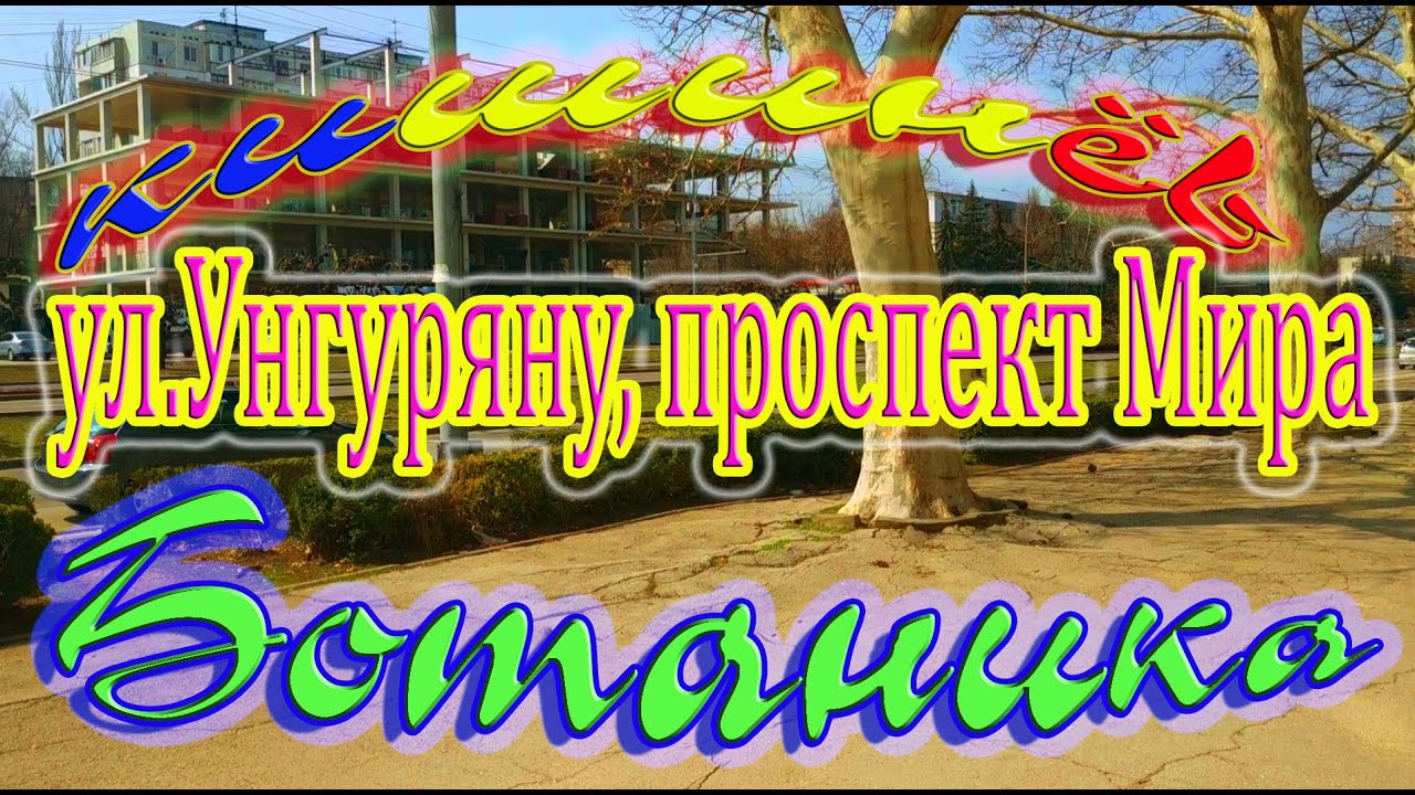 Кишинёв Ботаника ул. Унгуряну, проспект Мира бул. Дачия, отремонтированный переход