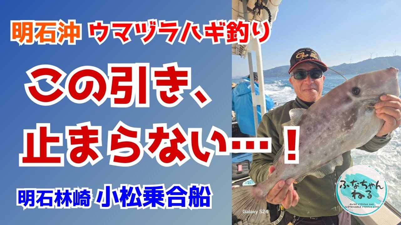 【ウマヅラハギ】 開幕戦でまさかの展開！ウスバハギとの激闘＆バケモノバラシ！
