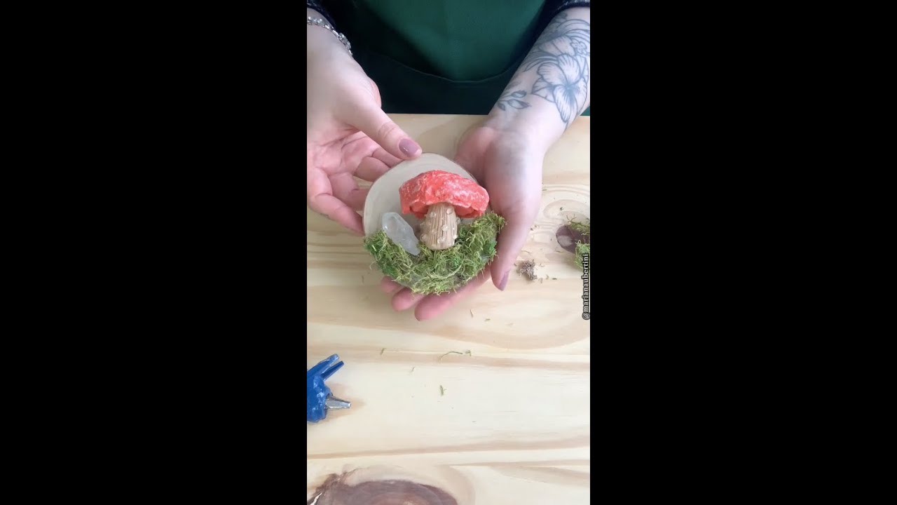 BISCUIT - Cogumelo “Rhodotus palmatus” | Mariana Ubertini