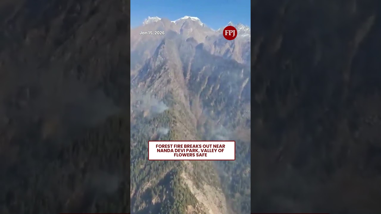 Uttarakhand: Forest Fire Breaks Out Near Nanda Devi Park, Valley of Flowers Safe