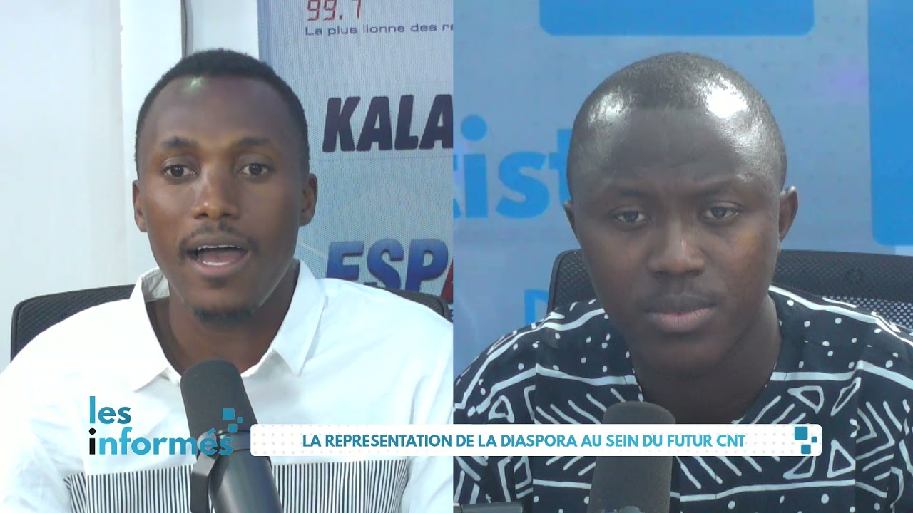 TRANSITION GUINEE : LA REPRESENTATION DE LA DIASPORA AU SEIN DU FUTUR CNT PARTIE 02