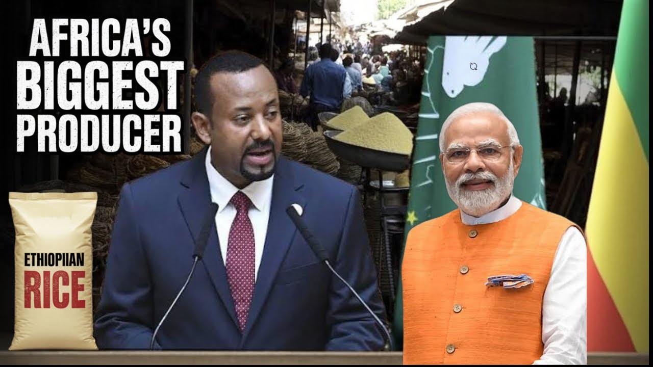 India Helps Ethiopia Become Africa's BIGGEST Rice Producer!