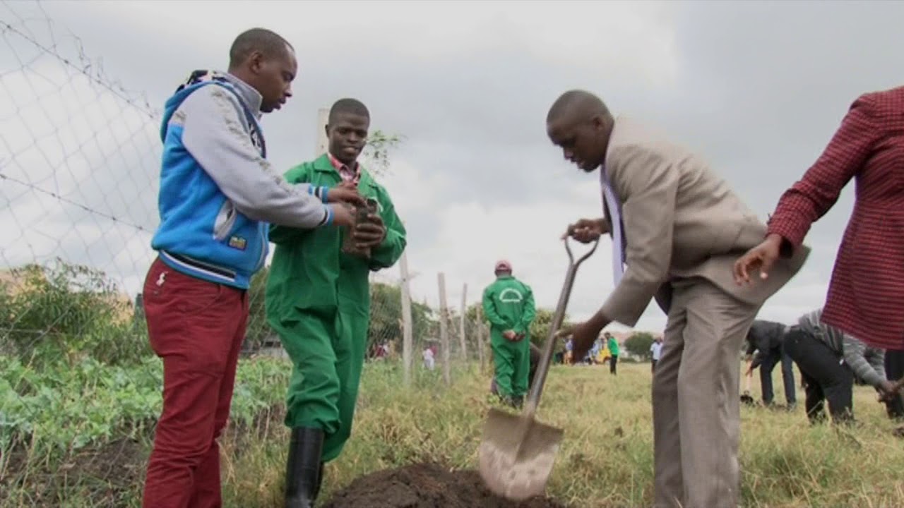 TREE PLANTING DAY ORCHARD