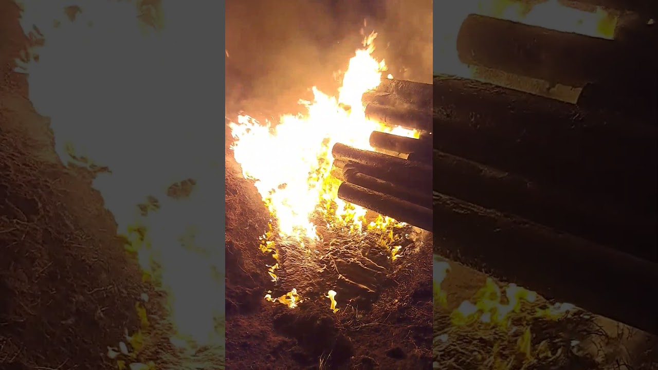 2 марта 2026 г.