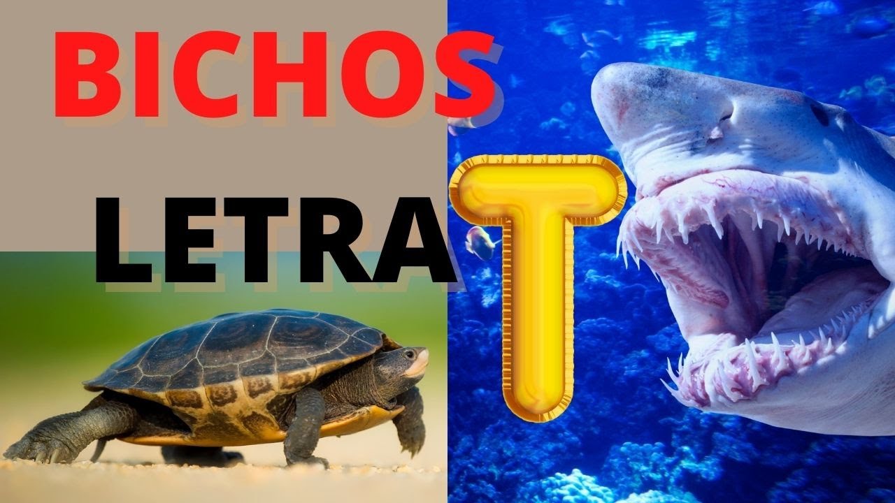 BICHOS COM T - ANIMAIS QUE COMEÇAM COM A LETRA T DO ALFABETO - QUAIS SÃO OS ANIMAIS COM A LETRA T.