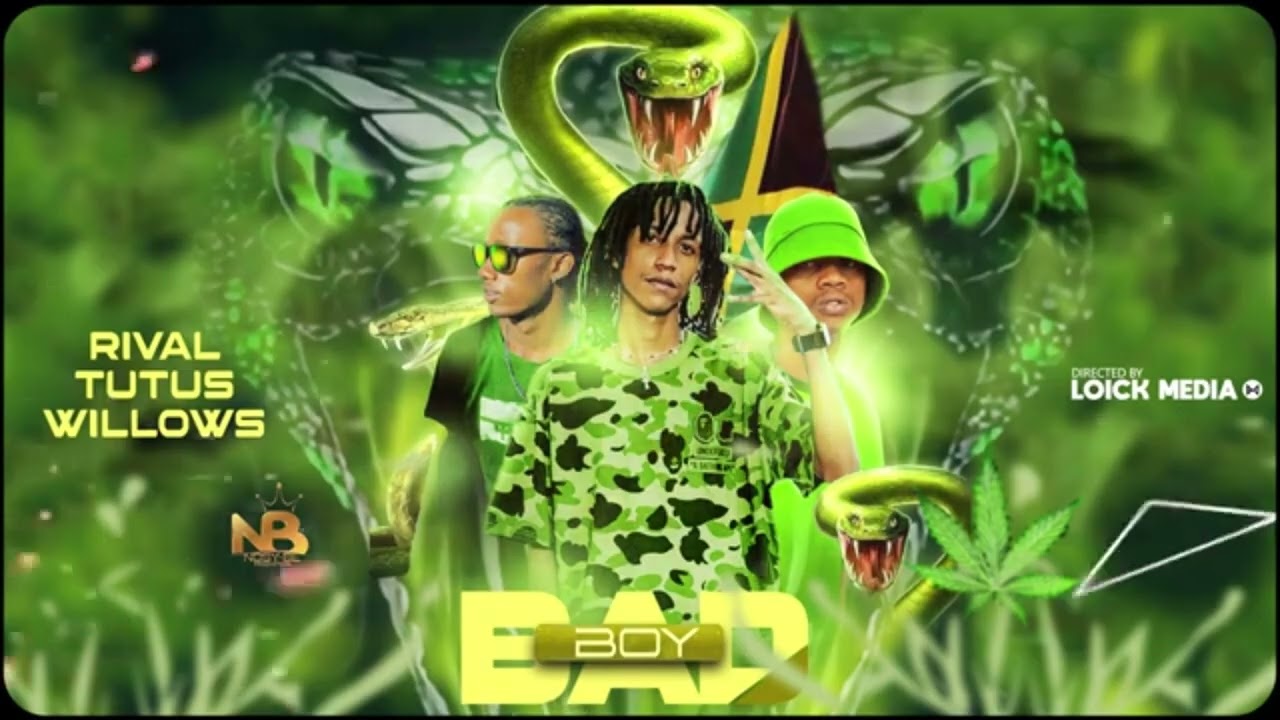 Rival x Tutus x Willows -  Bad boy ( Officiel Audio 2024 ) BY LOICK MEDIA