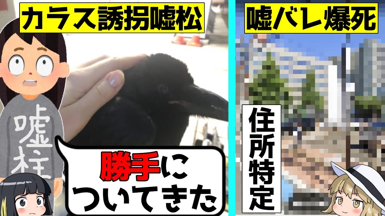 【嘘松爆死】カラスがついてきたと嘘つくツイ民が住所特定されて爆死した件をゆっくり解説 #嘘松