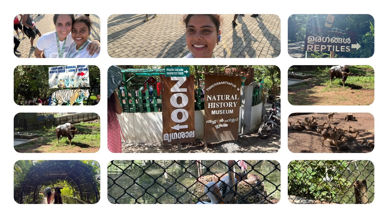 A Fun-Filled Day at Trivandrum Zoo 🦩🐅 | My 10KM Marathon Journey 🏃‍♀️✨ | A Day Full of Joy!