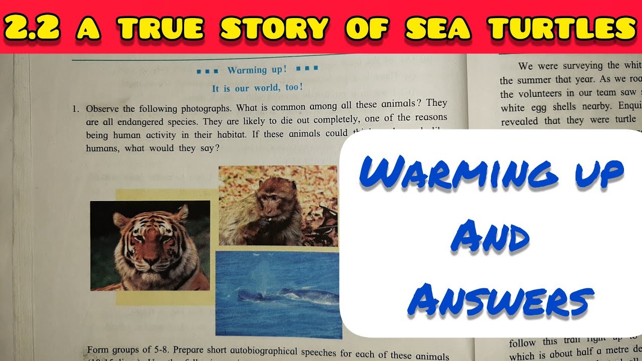 9th Std - English - Chapter 2.2 A true story of sea turtles warming up and English workshop - ssc
