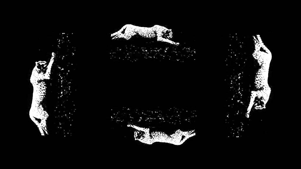 Cheetah Running, Holographic Animation For Use With HoloQuad Pyramid Hologram MMD
