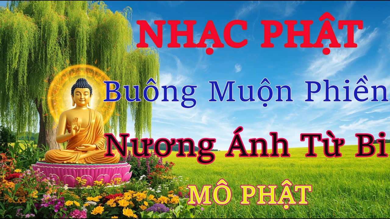 NHẠC THIỀN PHẬT MỚI-XÁM HỐI TỘI LỖI- TÂM THANH THẢN-LÒNG AN NHIÊN-NAM MÔ A DI ĐÀ PHẬT #buddha #viral
