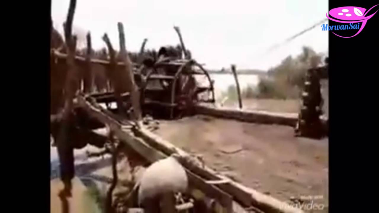 آي فديليني / كبوش