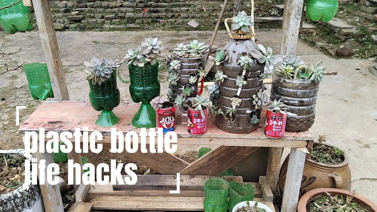 Bottle to planter DIY • 生活创意改造 • Plastic bottle reuse ideas • 小型Vlog 花盆DIY • Creative home decor