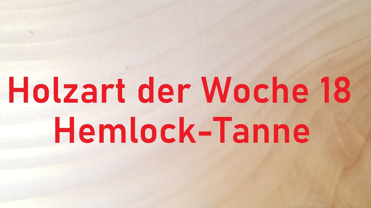 Holzbestimmung: Holzart der Woche 18 –  HEMLOCK-TANNE, FICHTE, TANNE und ein paar Worte zur WERKBANK