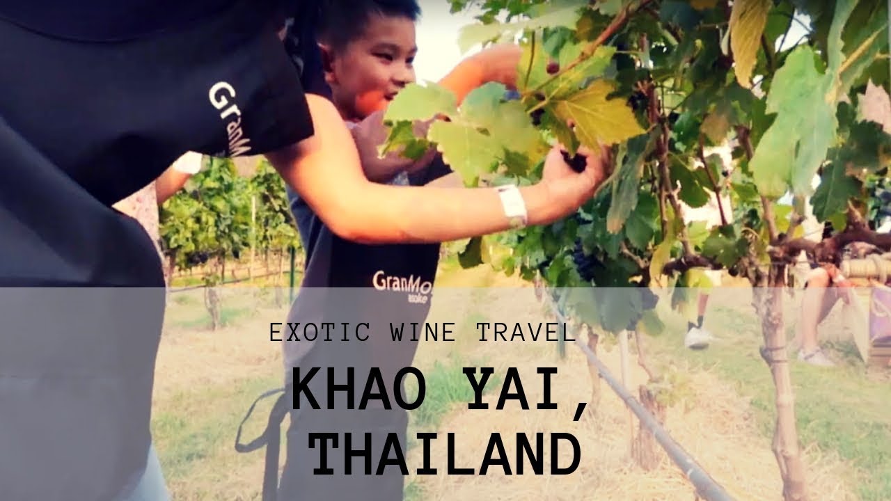 GranMonte Winery's Harvest Party 2019 (Khao Yai, Thailand)