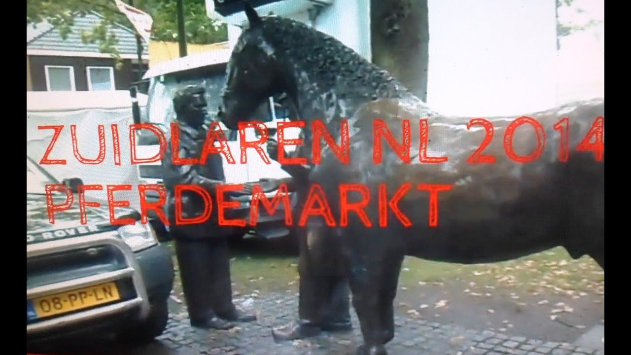 ZUIDLARDEN Pferdemarkt 2014,Paarden,TEIL 1