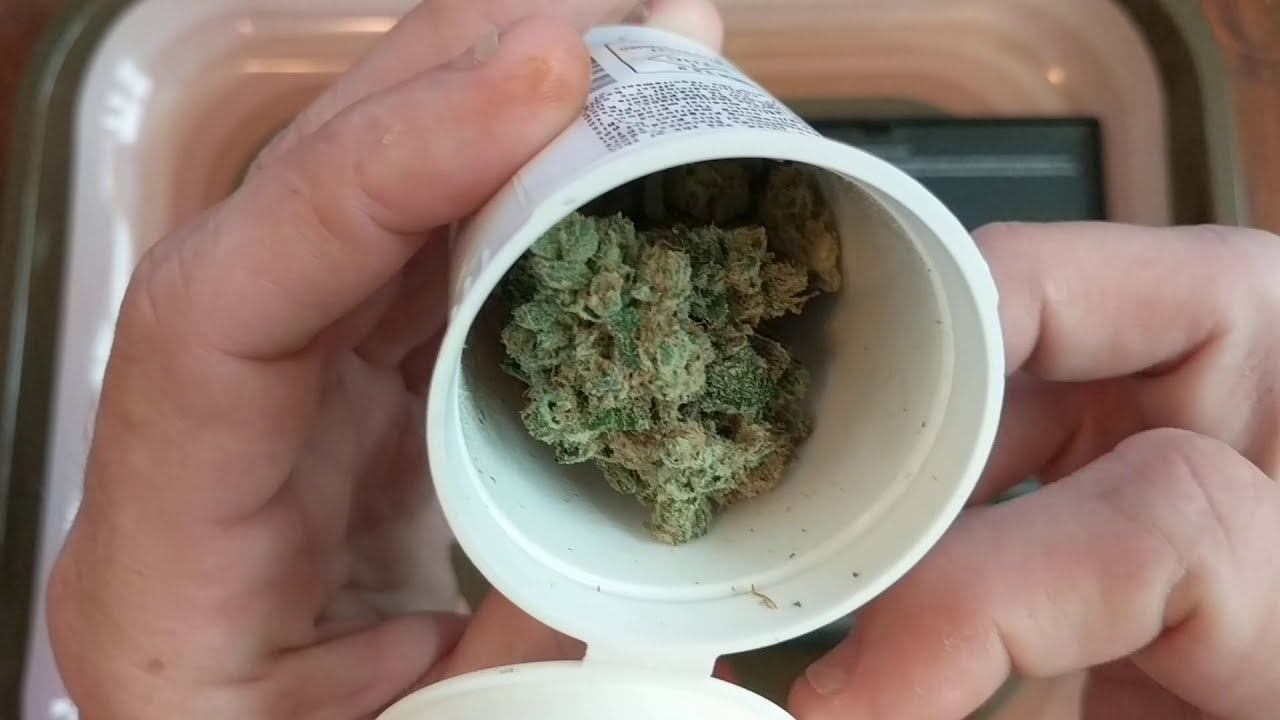 Good Dawg 24% GrowHealthy 🐶