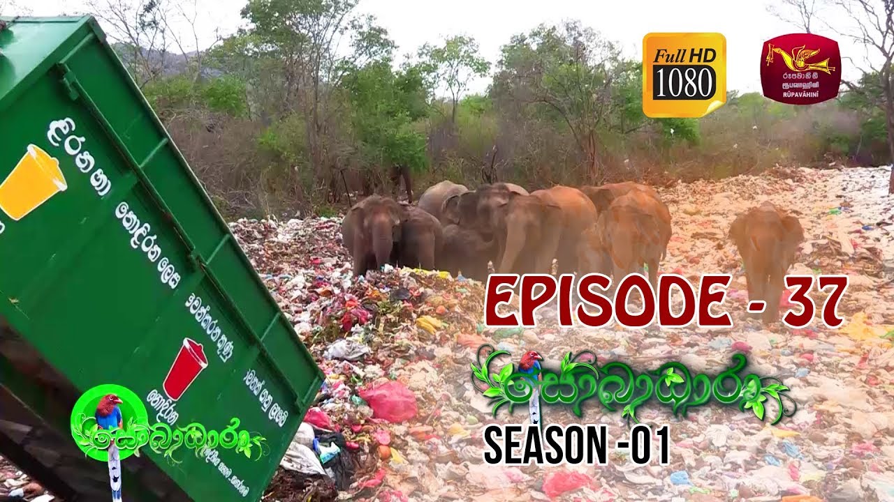 Sobadhara | Season - 01 | Episode 37 | Sobadhara Rupavahini