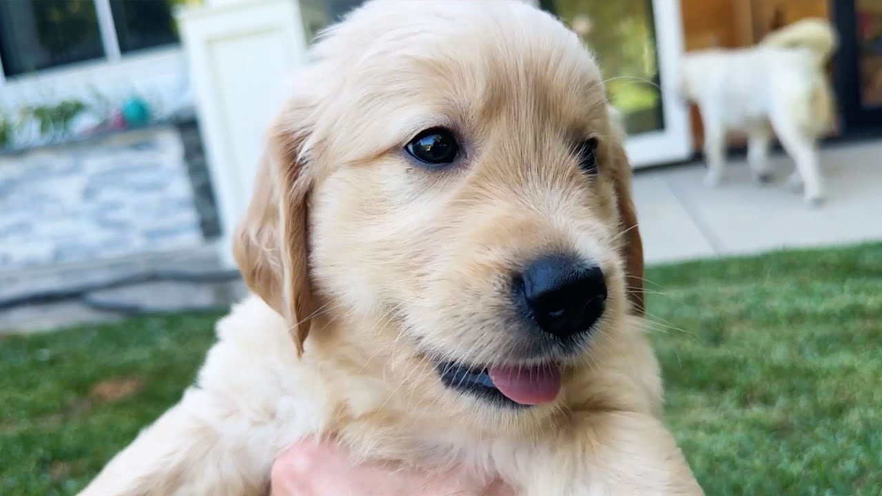 I Think I Might Keep Him...