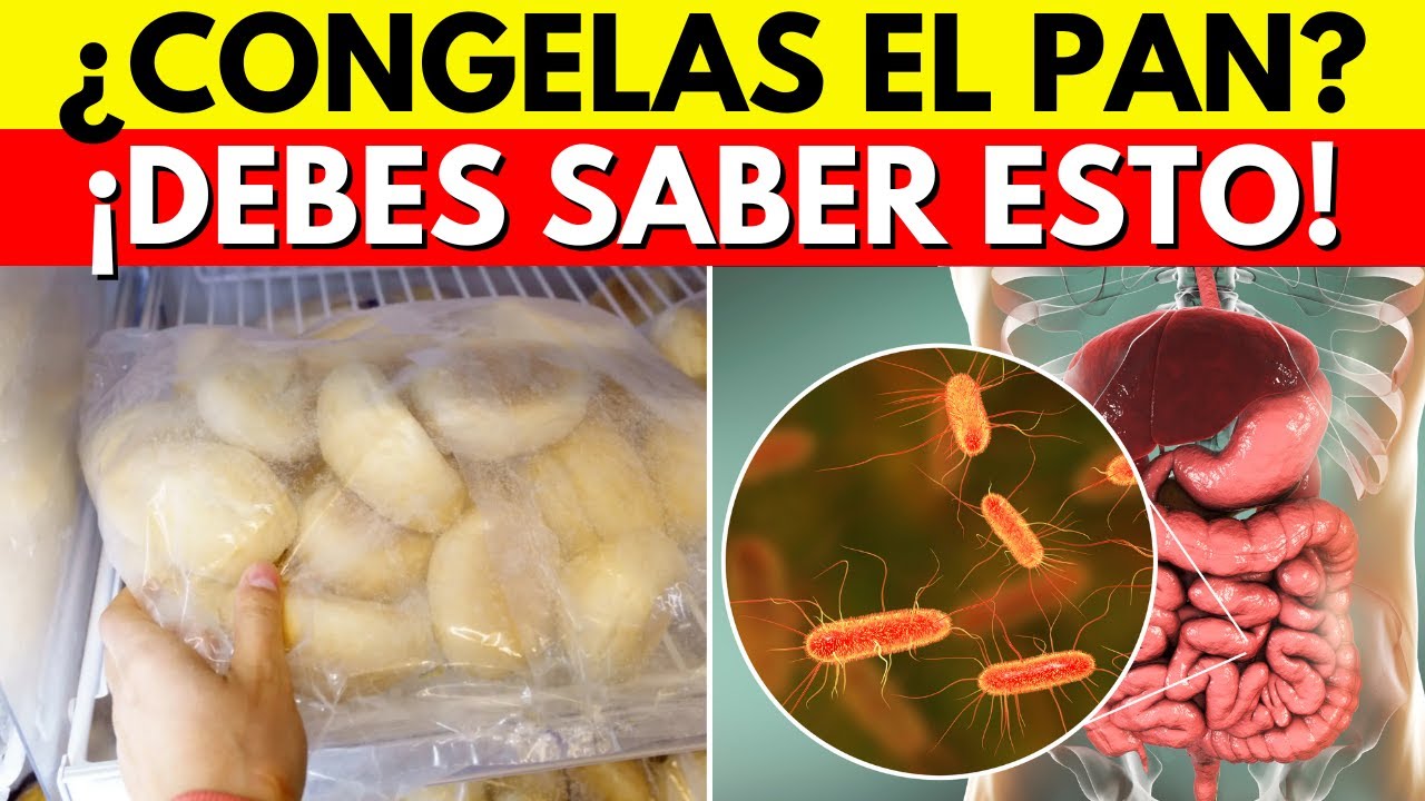 Comía pan congelado cada día, ¡y lo que pasó después me cambió la vida!