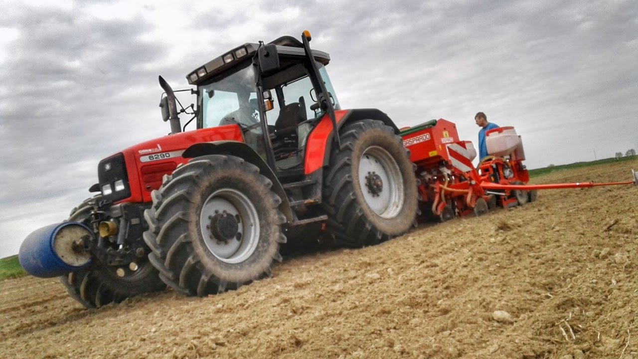 Siew KuKuRyDzY 2017 u Darka! Massey Ferguson 6290&Gaspardo