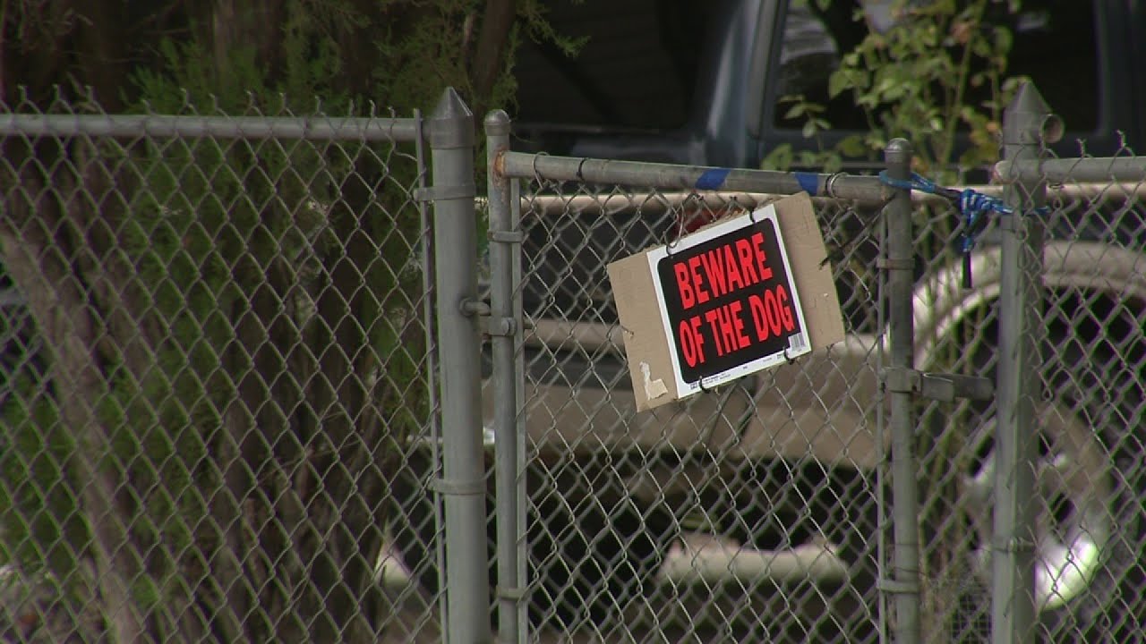 Amazon driver attacked by dog on South Side
